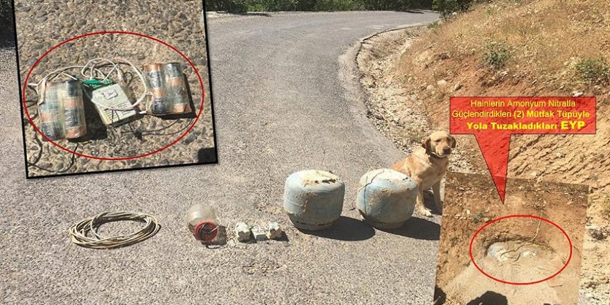 Yola tuzaklanan 100 kilogramlık patlayıcı imha edildi
