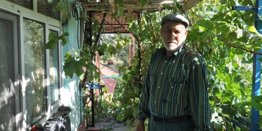 Sabah uyandığında tüm servetini kaybetti!