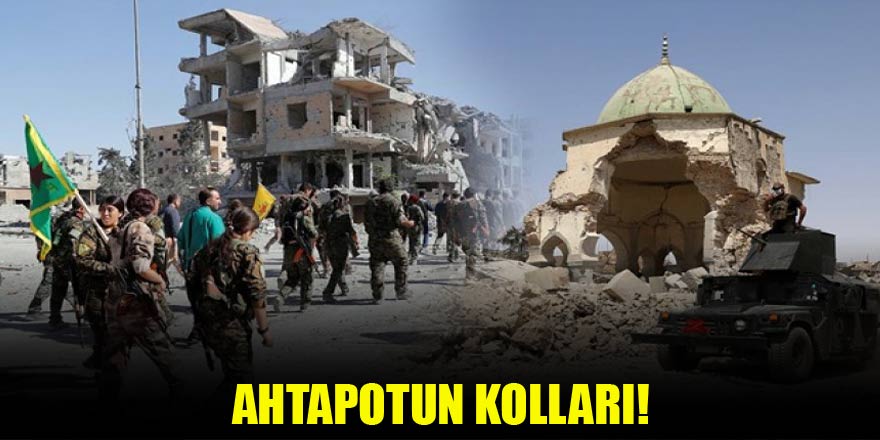 Ahtapotun kolları