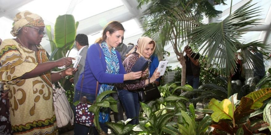 Konya’nın favori ziyaret mekanı Tropikal Kelebek Bahçesi