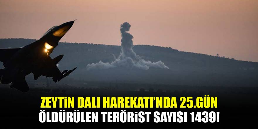 Zeytin Dalı harekatında 25. günde ağır darbe
