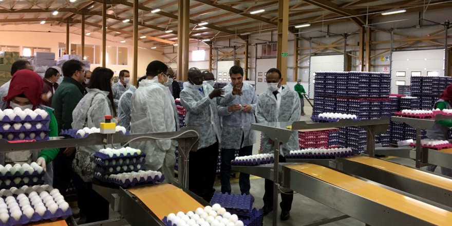 İttifak Holding, dost ülke Sudan’ın Ekonomi ve Ticaret Bakanlarını ağırladı