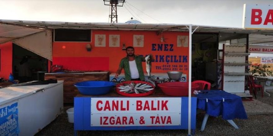 Tartıştıkları balıkçıyı öldürdüler