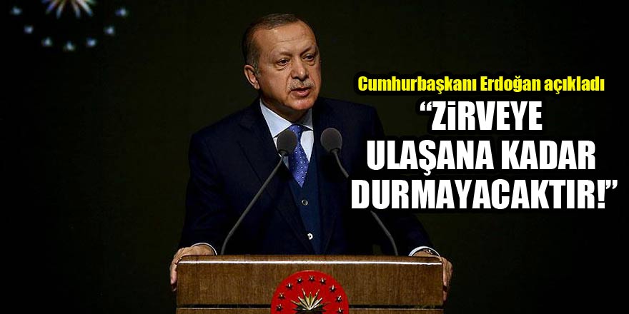 Cumhurbaşkanı Erdoğan: Türkiye, zirveye ulaşana kadar durmayacaktır ile ilgili görsel sonucu