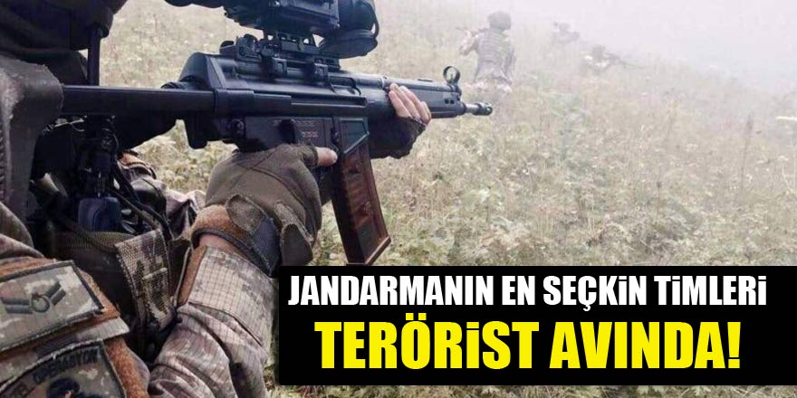 Jandarmanın en seçkin timleri terörist avında