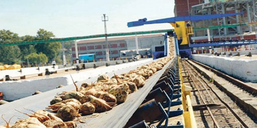 Şeker Fabrikası ihalesinde kazanan belli oldu
