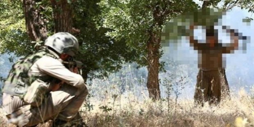 PKK'ya soğuk duş! Kaçıp teslim oldular...