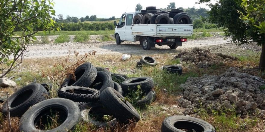 Büyükşehir’den sivrisinekle mücadele