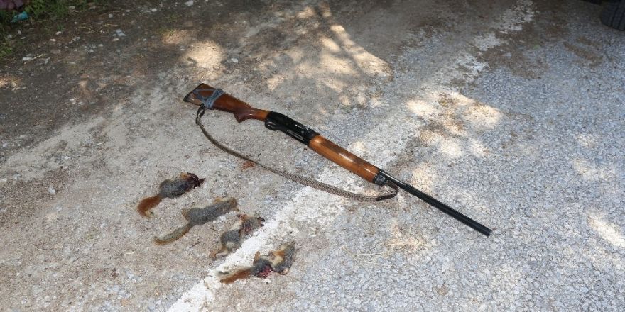 Jandarma sincap katliamına “dur” dedi
