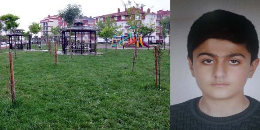Kardeşiyle kavga eden 13 yaşındaki çocuğu sopayla öldürdü