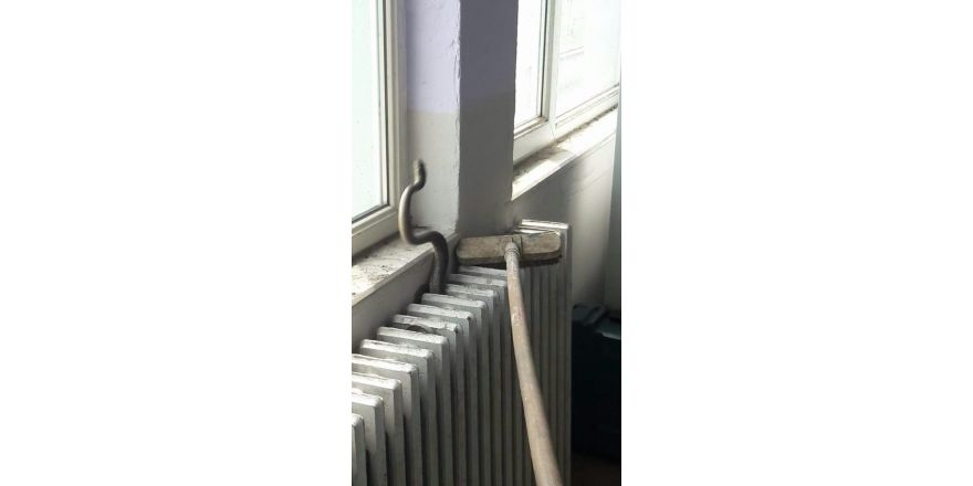 Yılan paniği okulu boşalttırdı
