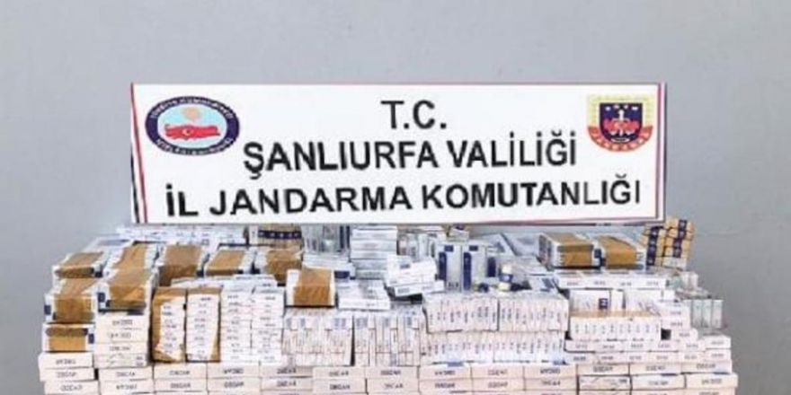 Ceylanpınar’da kaçak sigara ele geçirildi
