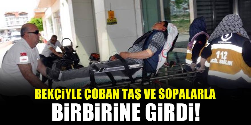 Bekçiyle çoban taş ve sopalarla birbirine girdi!