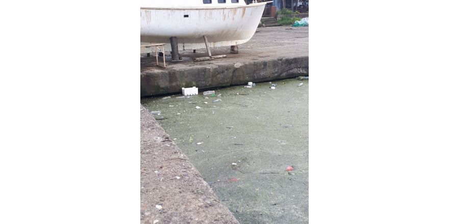Akçakoca Balıkçı barınağında kirlilik
