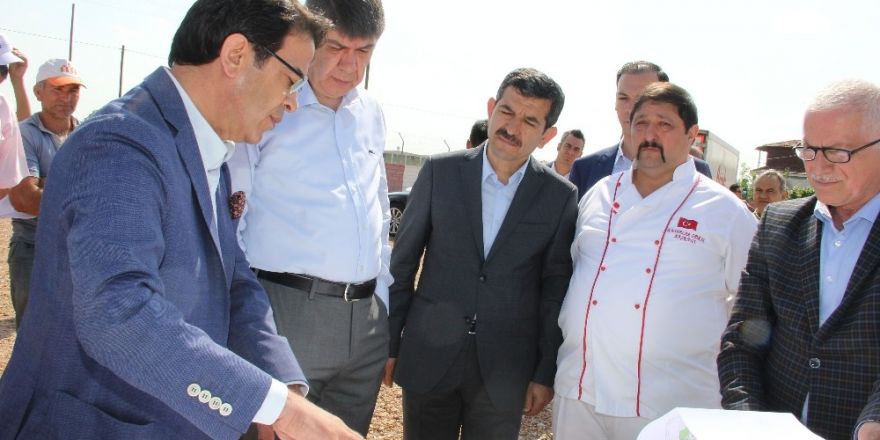 Canlı Hayvan Borsası alanı incelendi
