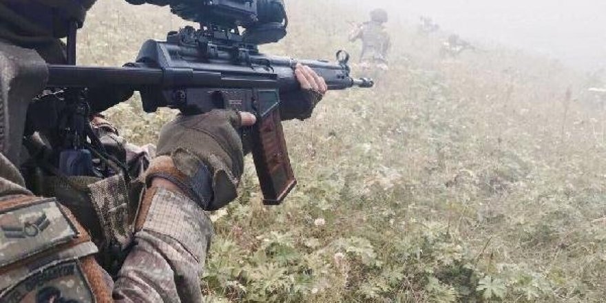 PKK'lı teröristler yayla evlerinden erzak çaldı