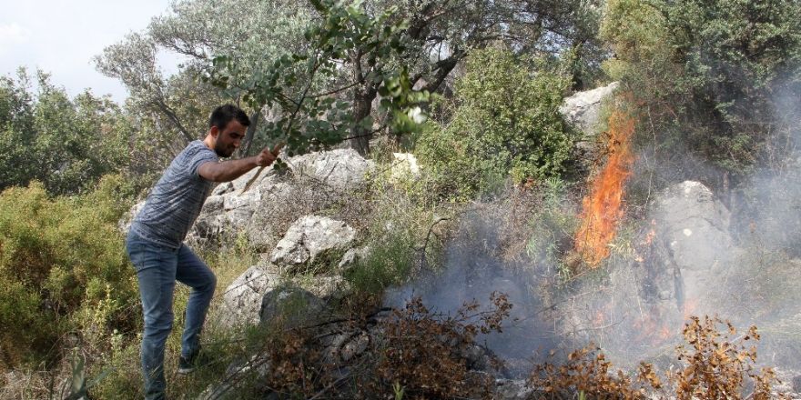 Fethiye’de Zeytinlik Alanda Yangın