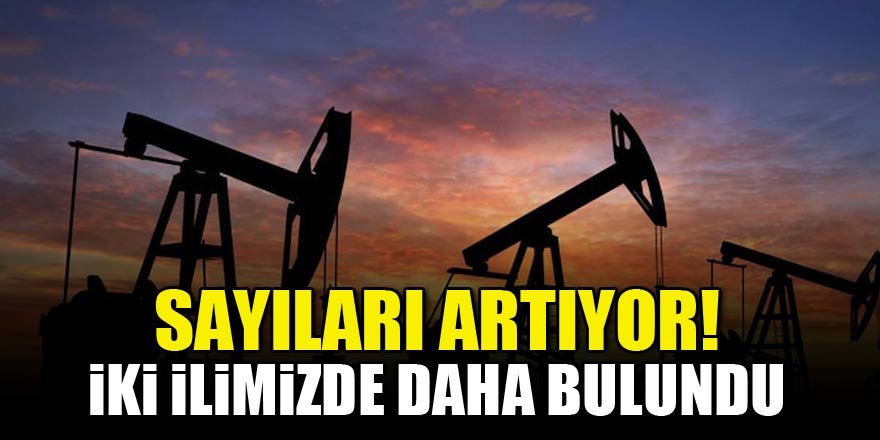 Sayıları artıyor! İki ilimizde daha petrol bulundu