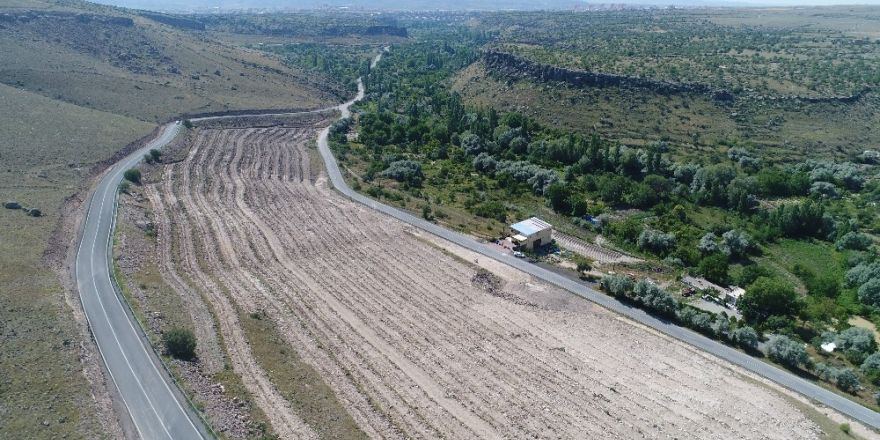 Başkan Karayol, "Yeşillendirme çalışmalarına önem veriyoruz"