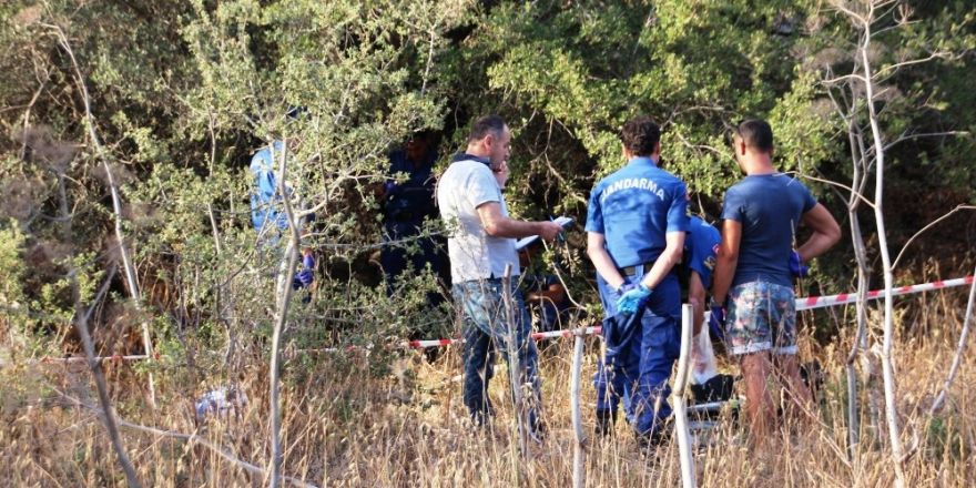 Turistler gördükleri manzara karşısında şok oldu