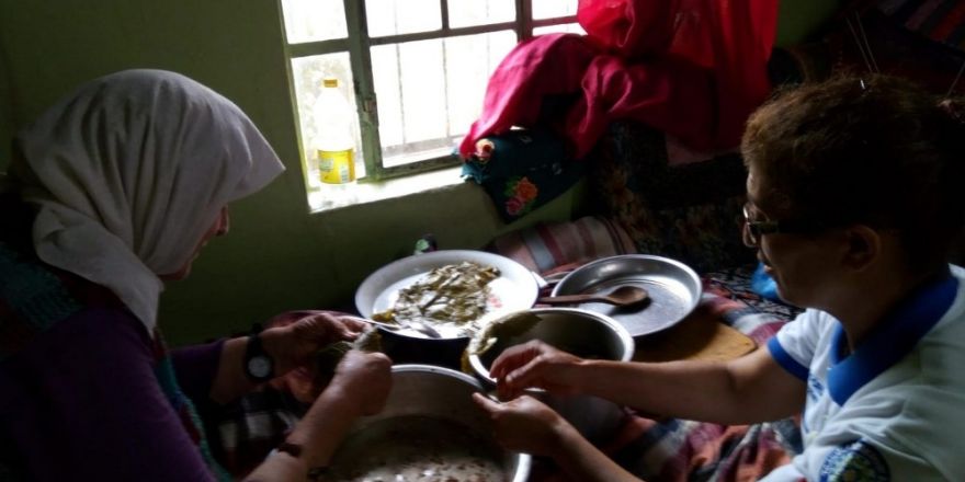 Büyükşehir kırsaldaki çınarların yanında