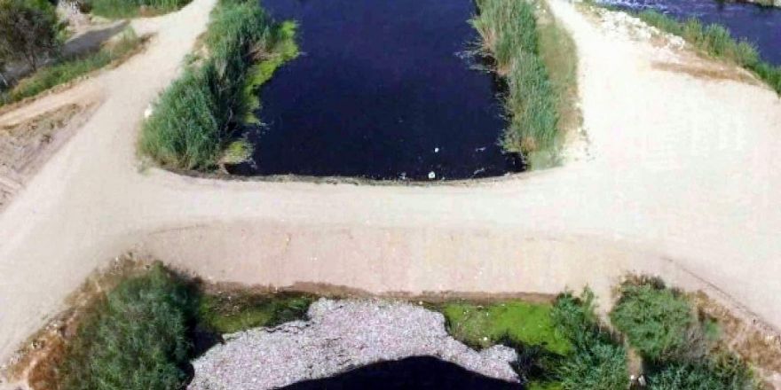 Balıklar zehirlenmeden değil oksijen yetersizliğinden ölmüş