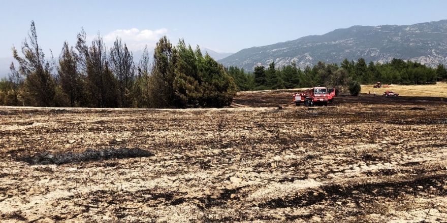 Seydikemer’deki çıkan yangın 2 hektar alan zarar gördü