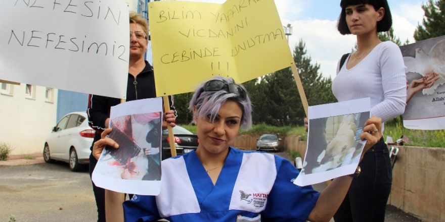 Sivas’ta Veterinerlik Fakültesinde ders için sokak köpeğinin katledilmesine tepki