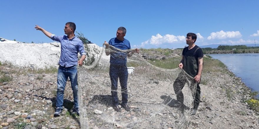 Van’ın Erciş ilçesinde inci kefali operasyonu