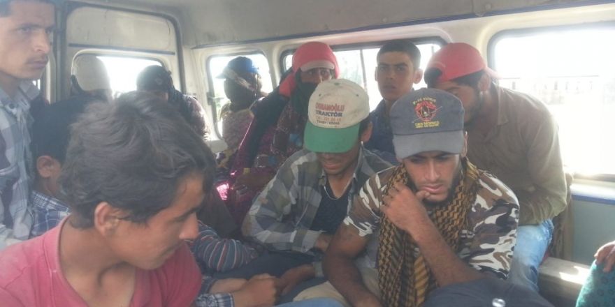 Polis kaçak göçmenlerle mücadele ediyor