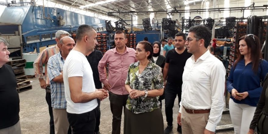 AK Partili Özboz: "Finike şahlanacak"