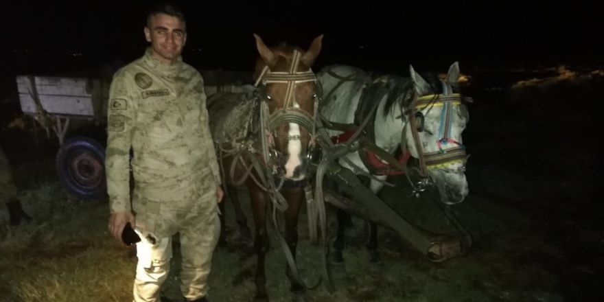 Van’ın Erciş ilçesinde 9 ton balık ele geçirildi