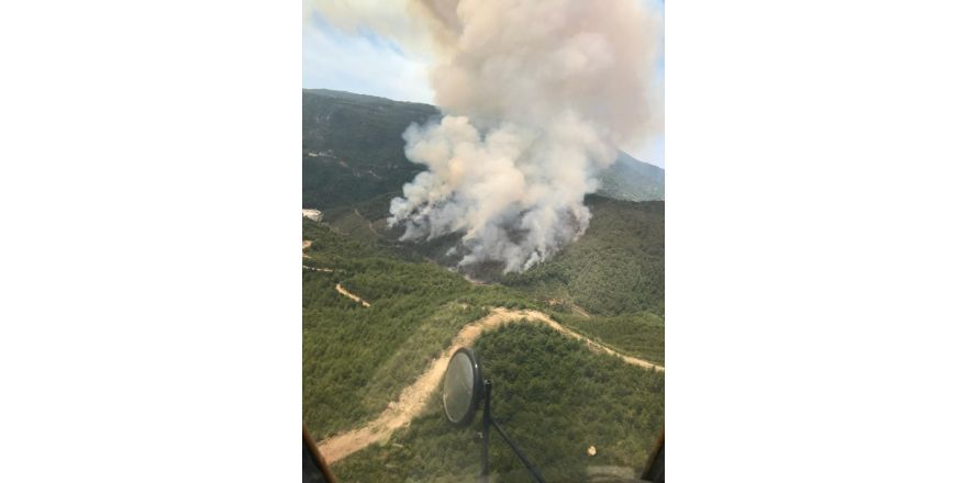 Hatay’da orman yangını