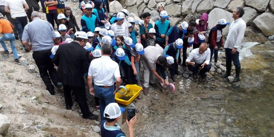 Kırmızı benekli Alabalıklar öğrencilerin elinden suya kavuştu