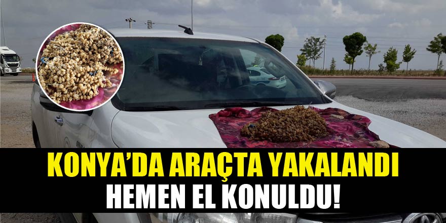 Konya'da ele geçirildi