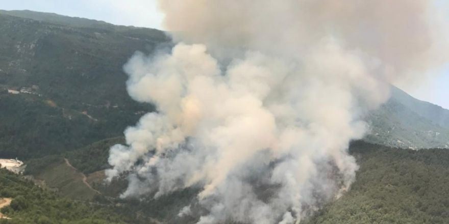 Hatay’da orman yangını