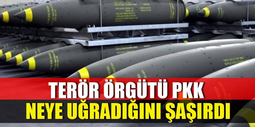 Terör örgütü neye uğradığını şaşırdı