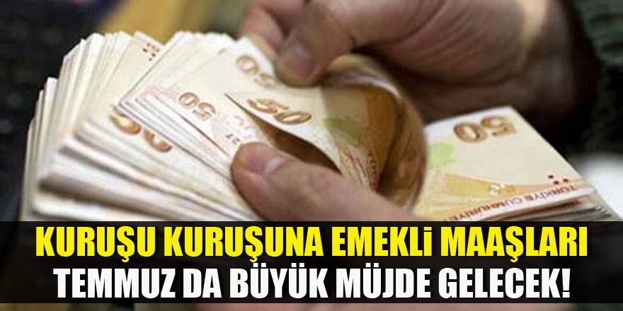 Kuruşu kuruşuna emekli maaşları