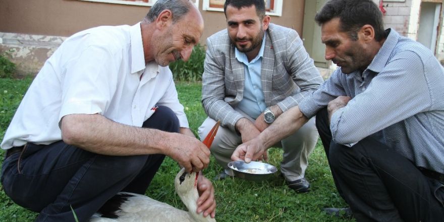 Muhtardan örnek davranış