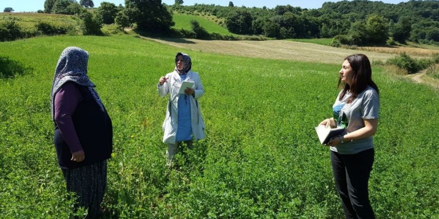 ÃiftÃ§ilere yabancÄ± ot mÃ¼cadelesi ve gÃ¼breleme hakkÄ±nda bilgiler verildi. Kocakaymaz mahallesinde ise 7 dekar nohut tarlasÄ± ve 7 dekar fÄ±ndÄ± ile ilgili gÃ¶rsel sonucu