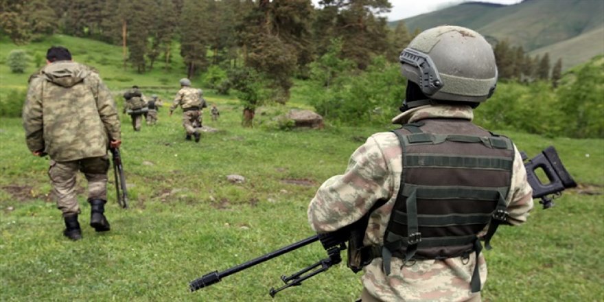 Tunceli'de etkisiz hale getirilen iki terörist gri listede