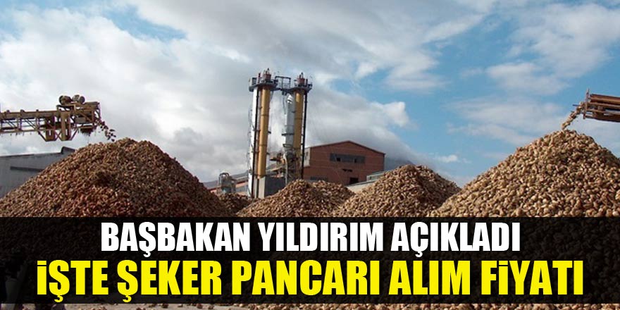 Şeker pancarı alım fiyatı açıklandı
