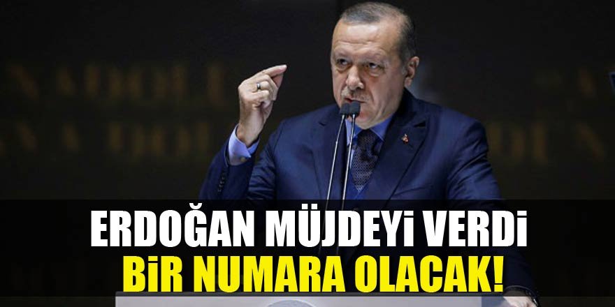 Cumhurbaşkanı Erdoğan: Bir numara olacak!