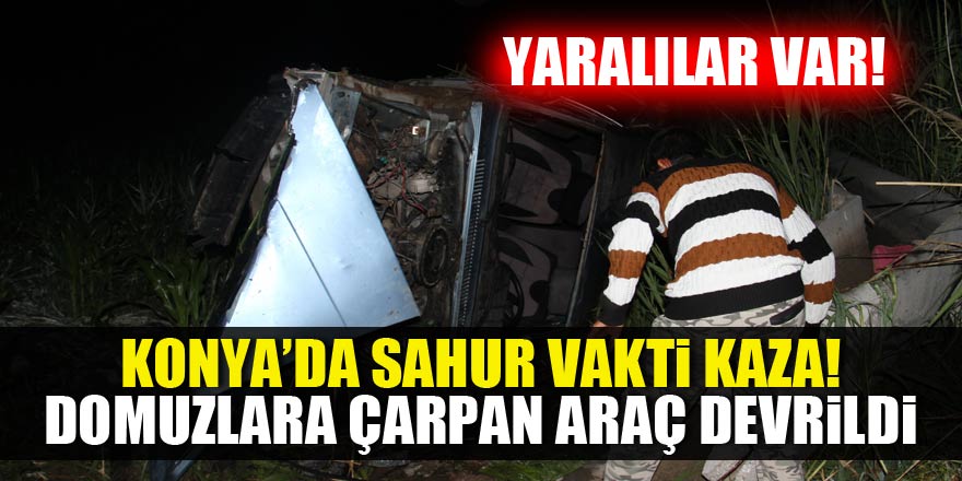 Konya’da yaban domuzu kazaya sebep oldu