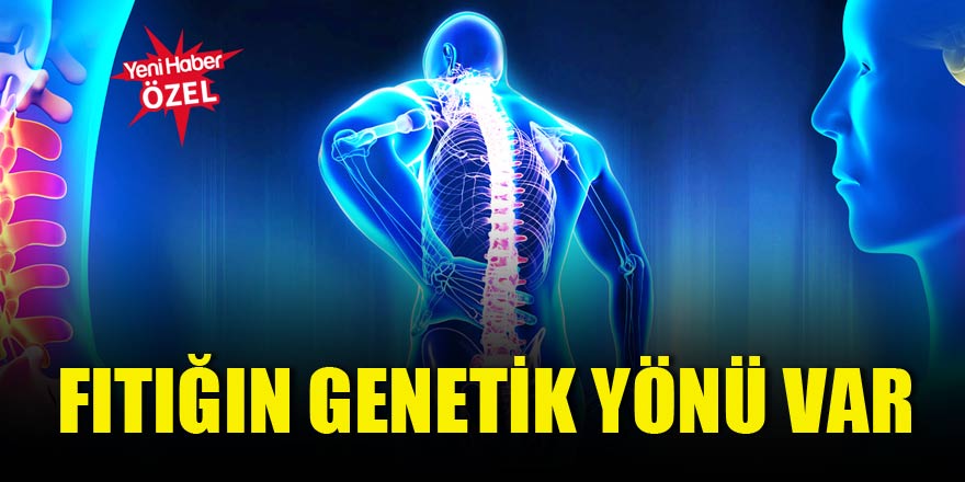 Fıtığın genetik yönü var