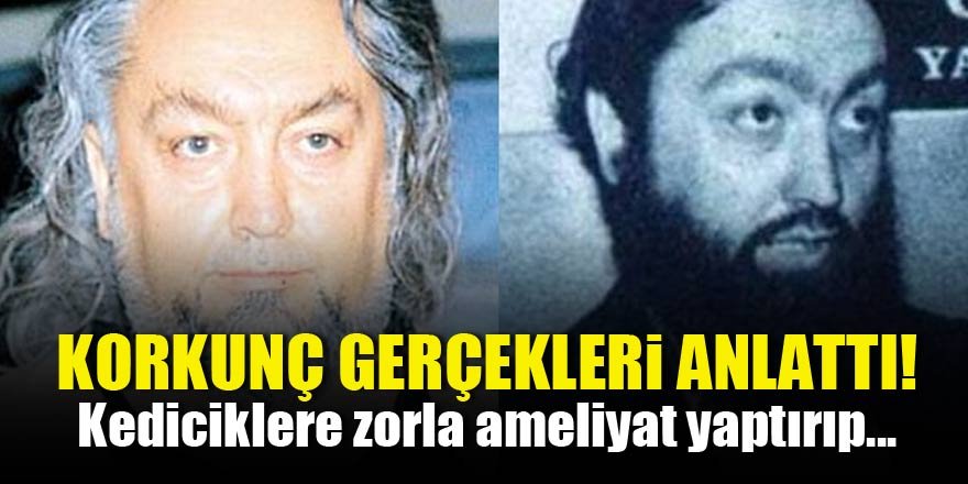 Korkunç gerçekleri anlattı! Kediciklere zorla ameliyat yaptırıp...
