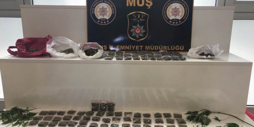 Muş’ta uyuşturucu operasyonu