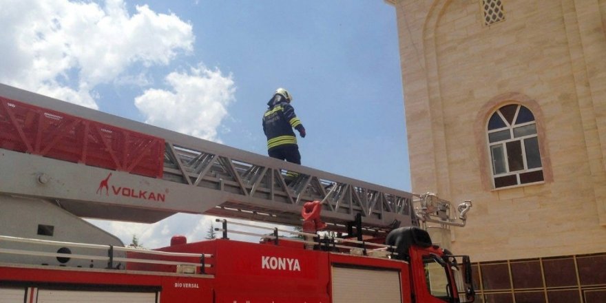 Yuvadan düşen yavru leyleği kurtarma operasyonu