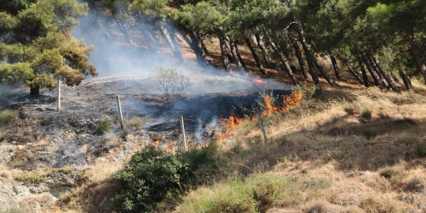 Antakya’da Habib-i Neccar Dağı’nda orman yangını
