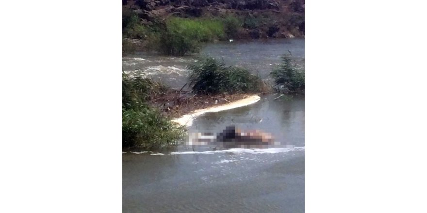 Hatay’da kimliği belirsiz erkek cesedi bulundu